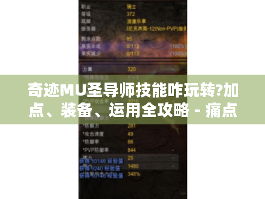 奇迹MU圣导师技能咋玩转?加点、装备、运用全攻略 - 痛点都解 奇迹MU圣导师技能咋玩转?加点、装备、运用全攻略 - 痛点都解