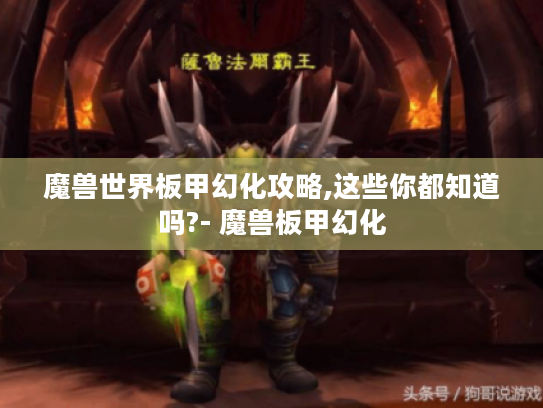魔兽世界板甲幻化攻略,这些你都知道吗?- 魔兽板甲幻化