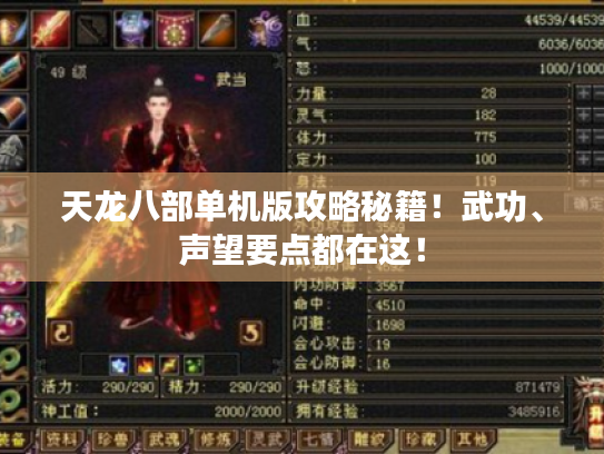 天龙八部单机版攻略秘籍！武功、声望要点都在这！