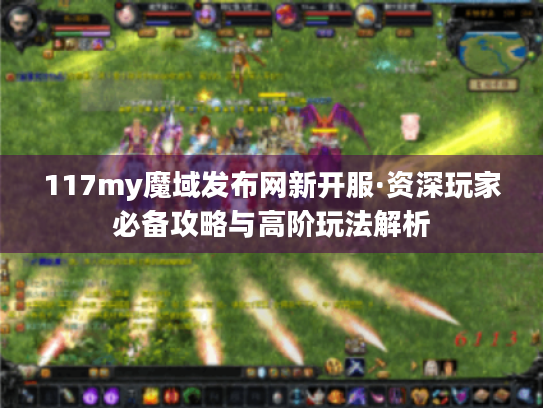 117my魔域发布网新开服·资深玩家必备攻略与高阶玩法解析