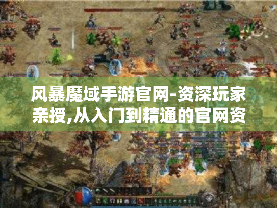 风暴魔域手游官网-资深玩家亲授,从入门到精通的官网资源活用指南
