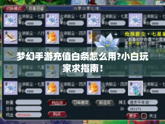 梦幻手游充值白条怎么用?小白玩家求指南！