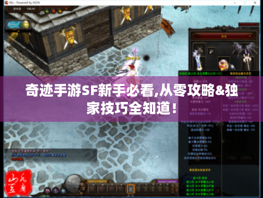 奇迹手游SF新手必看,从零攻略&独家技巧全知道！