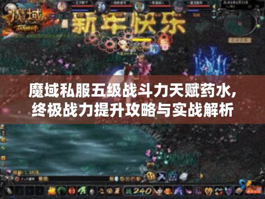 魔域私服五级战斗力天赋药水,终极战力提升攻略与实战解析