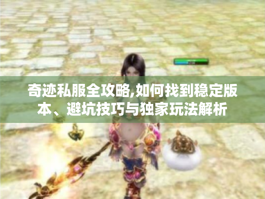 奇迹私服全攻略,如何找到稳定版本、避坑技巧与独家玩法解析