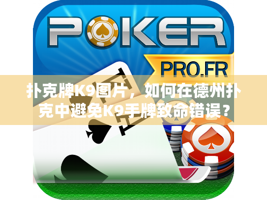扑克牌K9图片,如何在德州扑克中避免K9手牌致命错误? 扑克牌K9图片,如何在德州扑克中避免K9手牌致命错误?