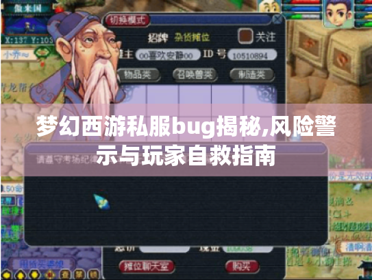 梦幻西游私服bug揭秘,风险警示与玩家自救指南 梦幻西游私服bug揭秘,风险警示与玩家自救指南