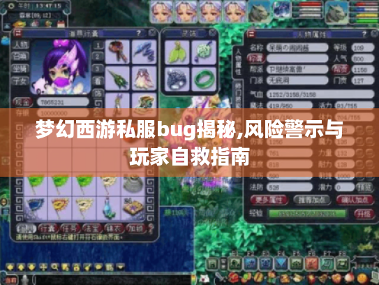 梦幻西游私服bug揭秘,风险警示与玩家自救指南 梦幻西游私服bug揭秘,风险警示与玩家自救指南