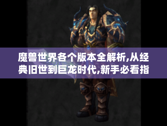 魔兽世界各个版本全解析,从经典旧世到巨龙时代,新手必看指南