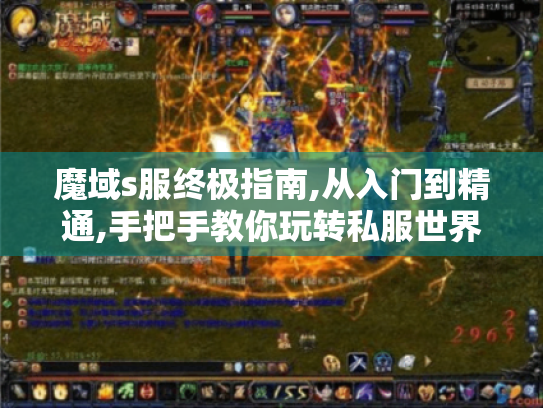 魔域s服终极指南,从入门到精通,手把手教你玩转私服世界