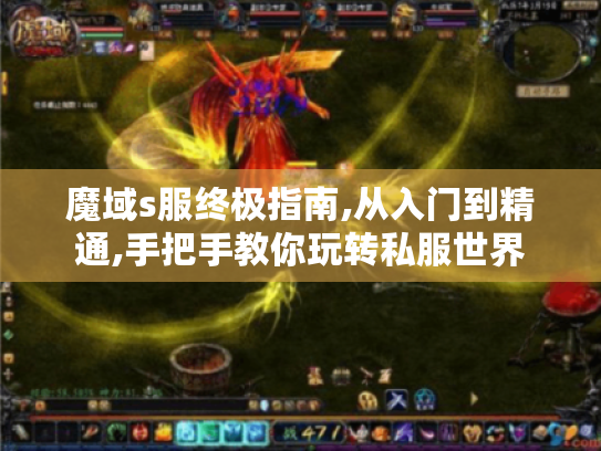 魔域s服终极指南,从入门到精通,手把手教你玩转私服世界