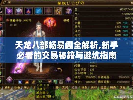 天龙八部畅易阁全解析,新手必看的交易秘籍与避坑指南