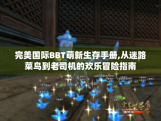 完美国际BBT萌新生存手册,从迷路菜鸟到老司机的欢乐冒险指南 完美国际BBT萌新生存手册,从迷路菜鸟到老司机的欢乐冒险指南