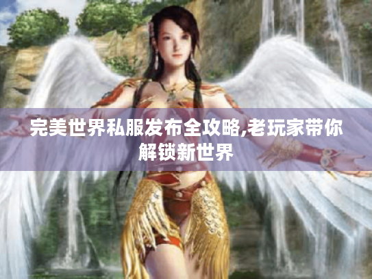 完美世界私服发布全攻略,老玩家带你解锁新世界