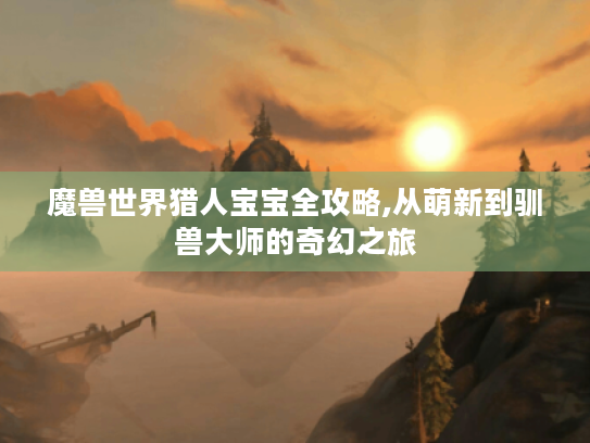 魔兽世界猎人宝宝全攻略,从萌新到驯兽大师的奇幻之旅