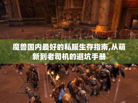 魔兽国内最好的私服生存指南,从萌新到老司机的避坑手册