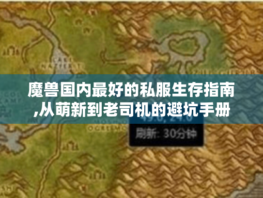 魔兽国内最好的私服生存指南,从萌新到老司机的避坑手册