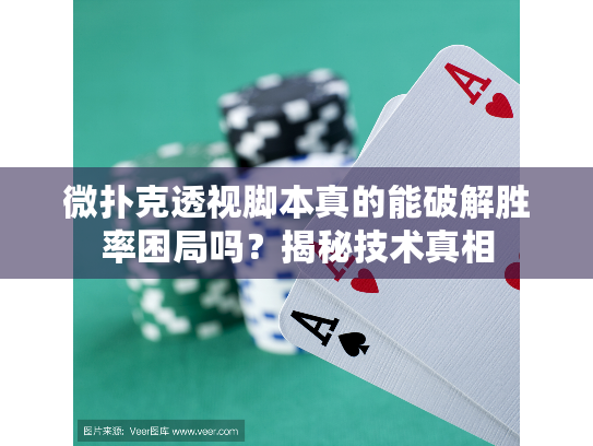 微扑克透视脚本真的能破解胜率困局吗？揭秘技术真相