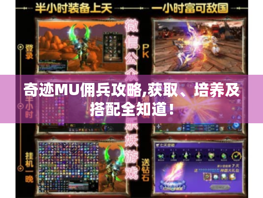 奇迹MU佣兵攻略,获取、培养及搭配全知道！