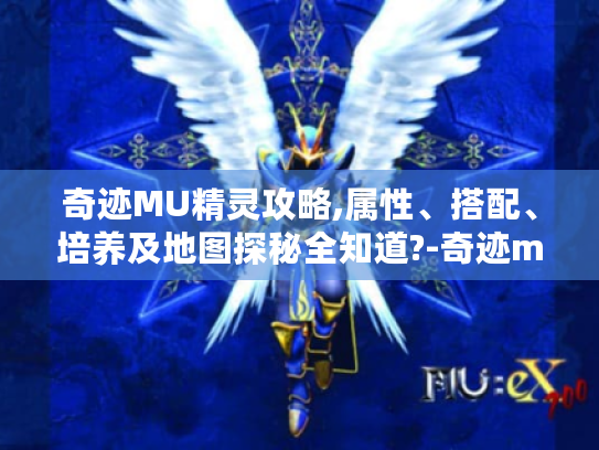 奇迹MU精灵攻略,属性、搭配、培养及地图探秘全知道?-奇迹mu精灵