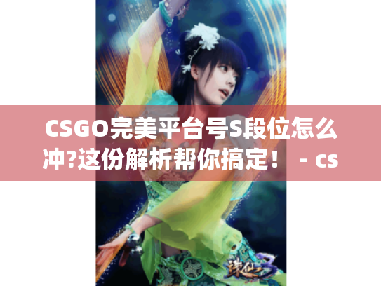 CSGO完美平台号S段位怎么冲?这份解析帮你搞定！ - csgo完美平台号s