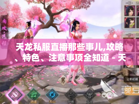 天龙私服直播那些事儿,攻略、特色、注意事项全知道 - 天龙私服直播