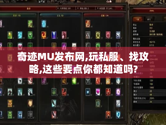 奇迹MU发布网,玩私服、找攻略,这些要点你都知道吗?