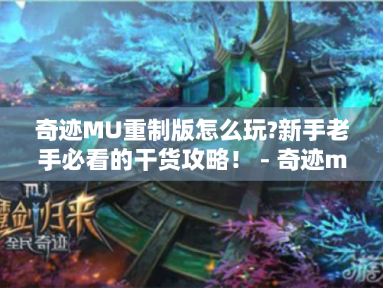 奇迹MU重制版怎么玩?新手老手必看的干货攻略！ - 奇迹mu重制版