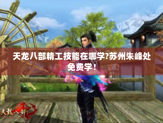 天龙八部精工技能在哪学?苏州朱峰处免费学！