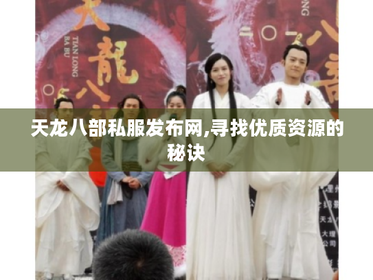 天龙八部私服发布网,寻找优质资源的秘诀