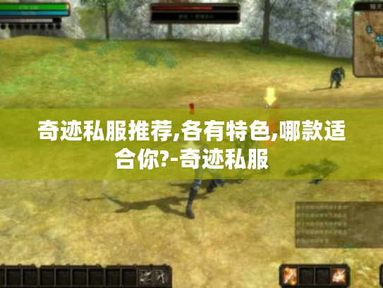 奇迹私服推荐,各有特色,哪款适合你?-奇迹私服