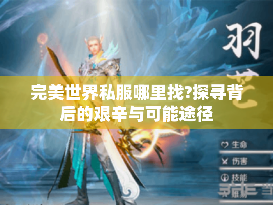 完美世界私服哪里找?探寻背后的艰辛与可能途径 完美世界私服哪里找?探寻背后的艰辛与可能途径