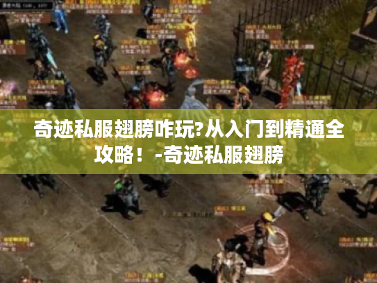 奇迹私服翅膀咋玩?从入门到精通全攻略！-奇迹私服翅膀