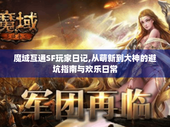 魔域互通SF玩家日记,从萌新到大神的避坑指南与欢乐日常