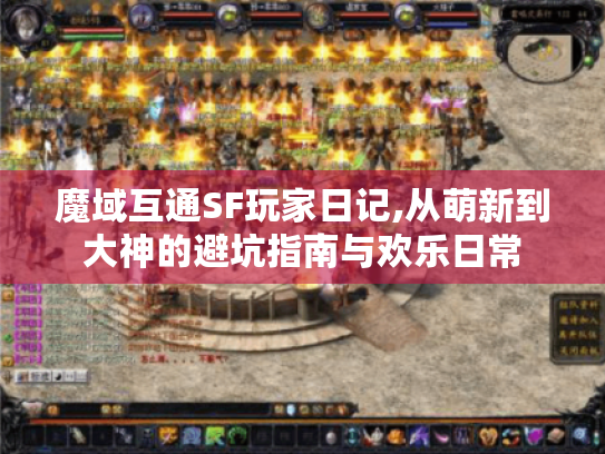 魔域互通SF玩家日记,从萌新到大神的避坑指南与欢乐日常