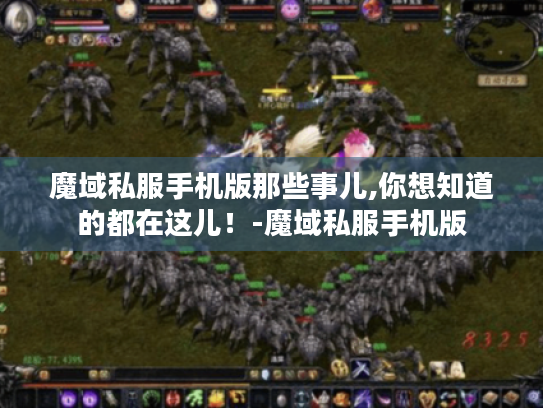 魔域私服手机版那些事儿,你想知道的都在这儿！-魔域私服手机版