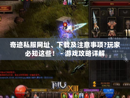 奇迹私服网址、下载及注意事项?玩家必知这些！ - 游戏攻略详解