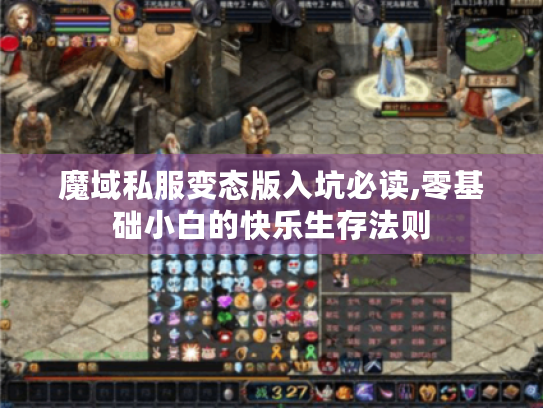 魔域私服变态版入坑必读,零基础小白的快乐生存法则