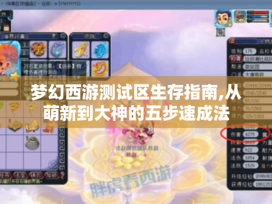 梦幻西游测试区生存指南,从萌新到大神的五步速成法