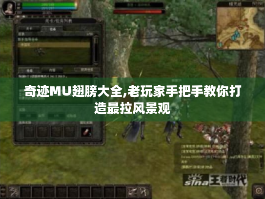 奇迹MU翅膀大全,老玩家手把手教你打造最拉风景观