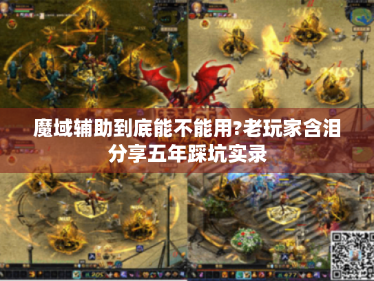 魔域辅助到底能不能用?老玩家含泪分享五年踩坑实录 魔域辅助到底能不能用?老玩家含泪分享五年踩坑实录