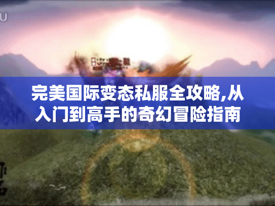 完美国际变态私服全攻略,从入门到高手的奇幻冒险指南