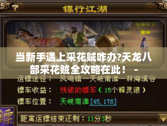 当新手遇上采花贼咋办?天龙八部采花贼全攻略在此！ -