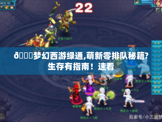 📖梦幻西游绿通,萌新零排队秘籍?生存有指南！速看