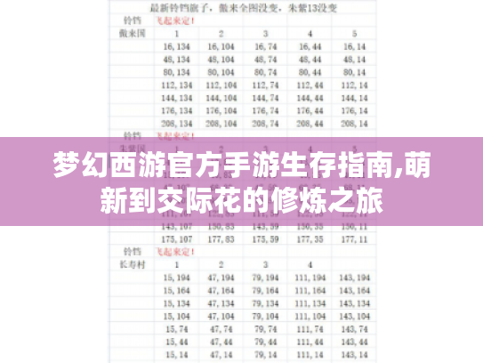 梦幻西游官方手游生存指南,萌新到交际花的修炼之旅