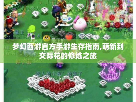 梦幻西游官方手游生存指南,萌新到交际花的修炼之旅