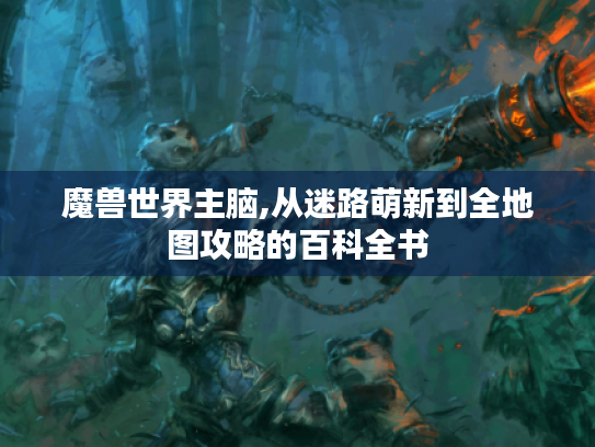 魔兽世界主脑,从迷路萌新到全地图攻略的百科全书