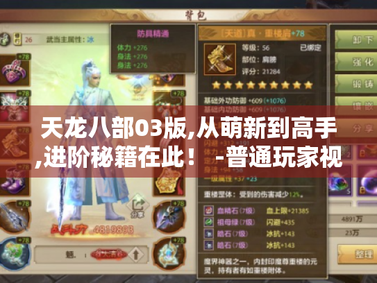 天龙八部03版,从萌新到高手,进阶秘籍在此！ -普通玩家视角