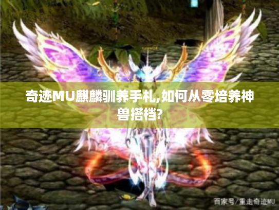 奇迹MU麒麟驯养手札,如何从零培养神兽搭档? 奇迹MU麒麟驯养手札,如何从零培养神兽搭档?