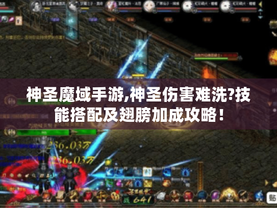 神圣魔域手游,神圣伤害难洗?技能搭配及翅膀加成攻略！